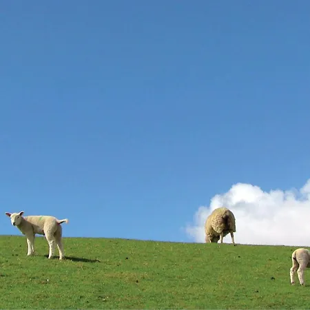 Beautiful In With Sauna Feriehus Dagebüll